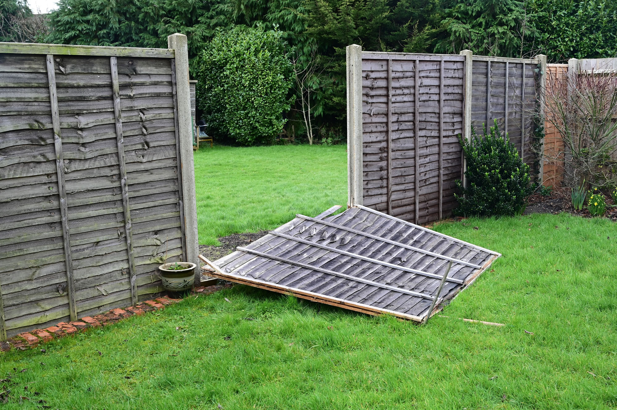 Fencing blown down